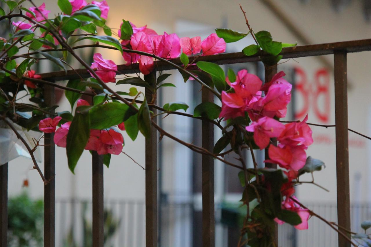 Bed and Breakfast Cortile Stesicoro Катания Экстерьер фото